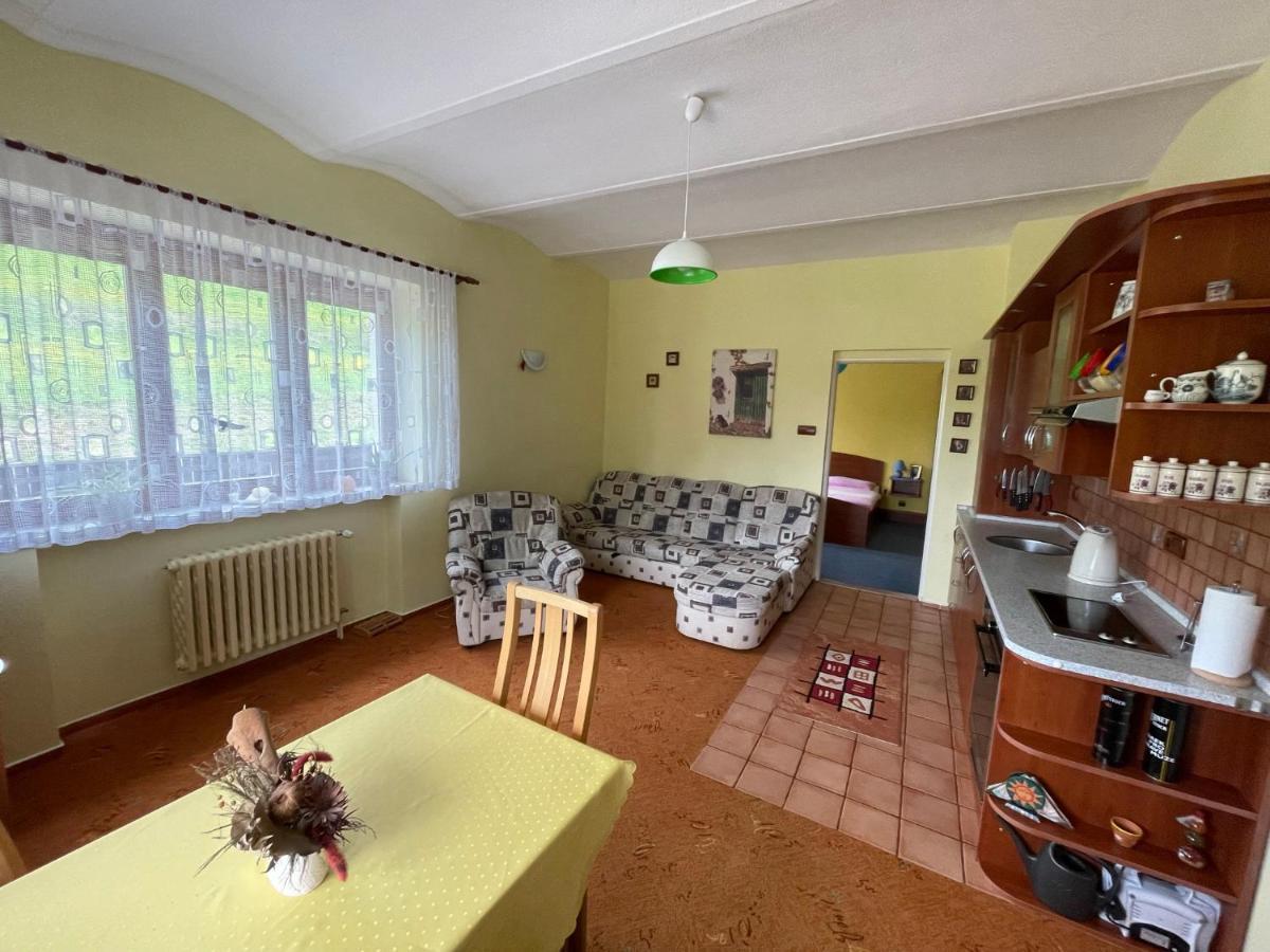 Ubytovani V Krkonosich, Rodinny Apartman Peklicko Horni Lanov Exterior photo
